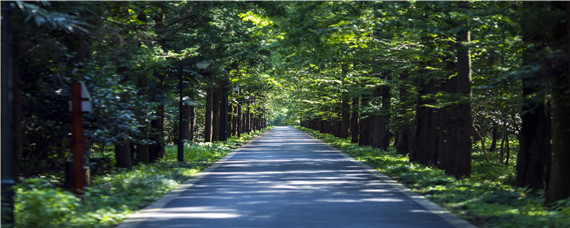 哪些林地可以建养殖场（在林地建养殖房可以吗）