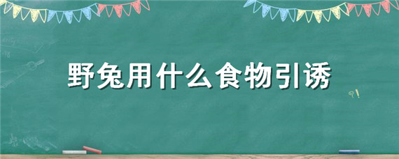 野兔用什么食物引诱（吸引野兔的有效方法）