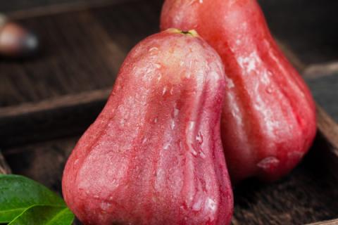 蜜风铃莲雾的功效（蜜风铃莲雾）