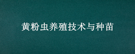 黄粉虫养殖技术与种苗 黄粉虫的养殖和繁殖技术