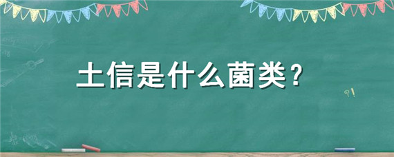 土信是什么菌类 博爱土信面是什么菌