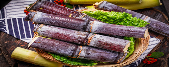 甘蔗一直不长怎么办（甘蔗生长慢怎么办）