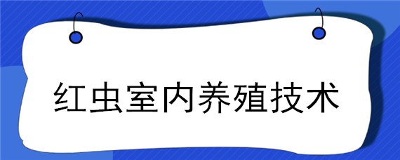 红虫室内养殖技术 红虫 养殖