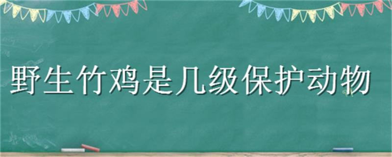 野生竹鸡是几级保护动物 竹鸡属于野生动物吗?