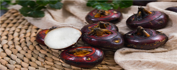 荸荠的采收与贮存方法（荸荠的采挖方法）