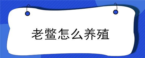 老鳖怎么养殖（老鳖的养殖方法）