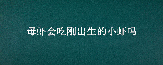 母虾会吃刚出生的小虾吗 母虾生小虾要多长时间生