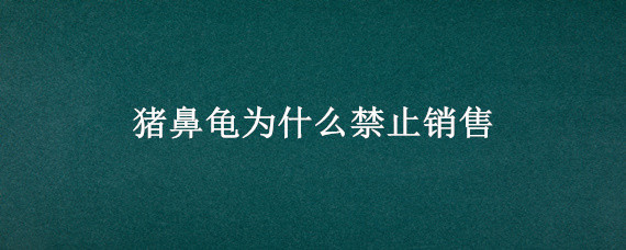 猪鼻龟为什么禁止销售（猪鼻龟什么时候开始禁止销售的）