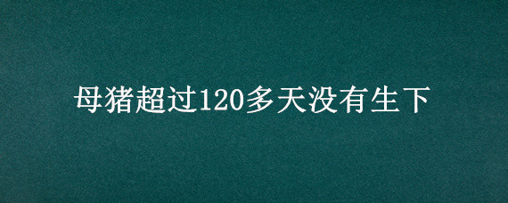 母猪超过120多天没有生下（母猪超过120天不生怎么办）