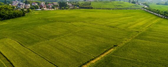 农业用地都可以经营什么项目 农业设施用地可以用经营