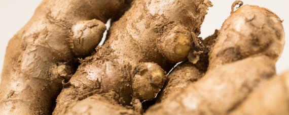 生姜的生长周期有多长 生姜生长期是多少几月份成熟