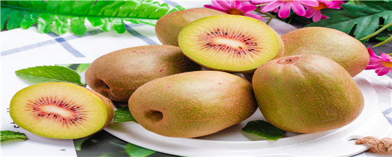红心猕猴桃种植技术与管理 红心猕猴桃的种植与管理