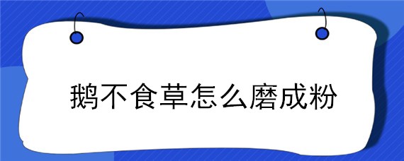 鹅不食草怎么磨成粉 鹅不食草粉是什么东西