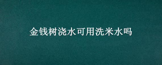 金钱树浇水可用洗米水吗 金钱树可以浇洗米水吗