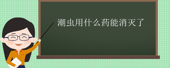 潮虫用什么药能消灭了 治潮虫用什么办法能把它给消灭掉