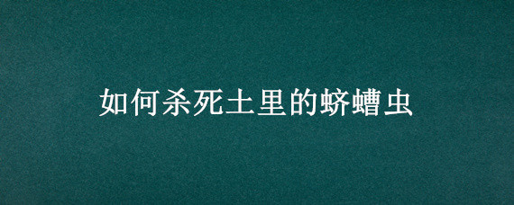 如何杀死土里的蛴螬虫（如何灭土里的虫子）