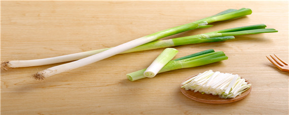 大葱施肥管理技术（大葱的施肥与管理）