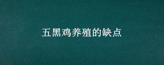 五黑鸡养殖的缺点（五黑鸡养殖前景怎样）