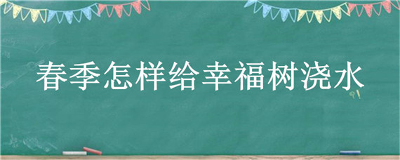 春季怎样给幸福树浇水 幸福的树冬天怎么浇水