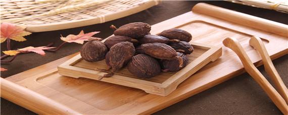 草果种植需要什么条件（草果如何种植技术）