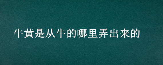 牛黄是从牛的哪里弄出来的（牛黄是从牛的哪里弄出来的图片）