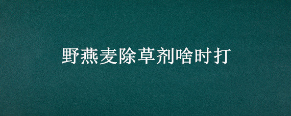 野燕麦除草剂啥时打（野燕麦用什么除草剂）