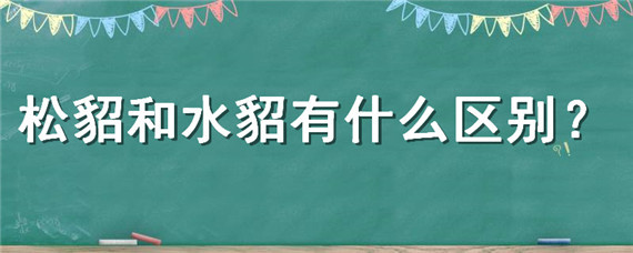 松貂和水貂有什么区别 松貂和水貂哪个更好