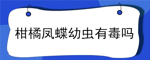 柑橘凤蝶幼虫有毒吗（桔柑凤蝶幼虫）