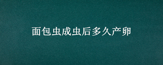 面包虫成虫后多久产卵 面包虫成虫产卵后能活多久