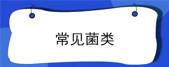 常见菌类（竹林里面长的常见菌类）