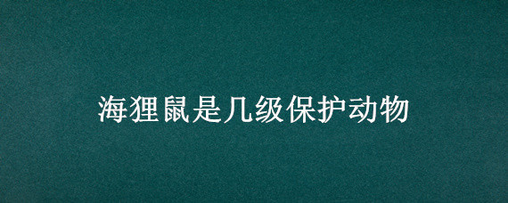 海狸鼠是几级保护动物（海狸鼠是几级保护动物吗）