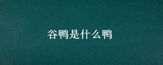 谷鸭是什么鸭（谷鸭是水鸭吗）