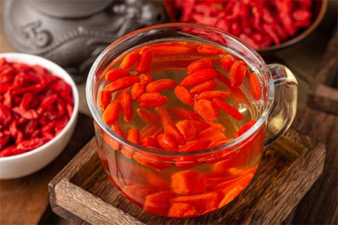 杭白菊枸杞子茶功效（杭白菊枸杞子茶功效与作用）