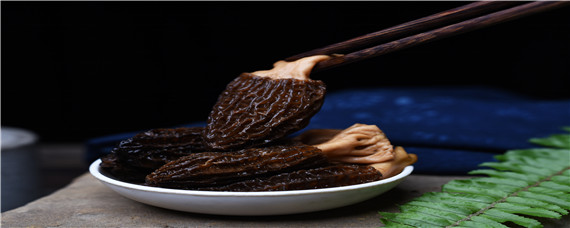 羊肚菌地膜一般盖多久能揭掉 羊肚菌盖地膜几天