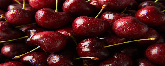 甜樱桃套袋好处（樱桃套袋吗）