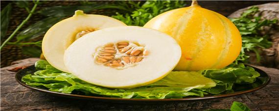 黄金瓜的种植方法和时间（黄金瓜栽培技术和管理）