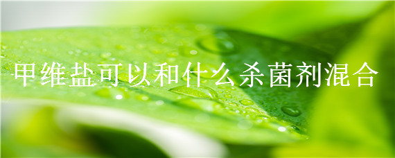 甲维盐可以和什么杀菌剂混合（甲维盐不能和什么杀菌药一起用）