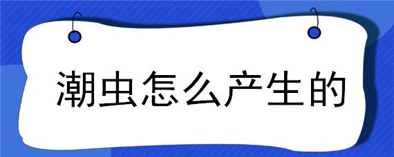 潮虫怎么产生的 潮虫的幼虫