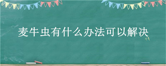 麦牛虫有什么办法可以解决 麦牛虫怕什么