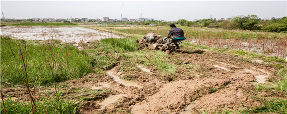 北大荒耕地面积有多大 北大荒土地面积