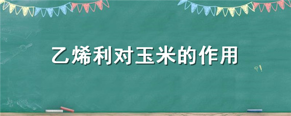 乙烯利对玉米的作用（乙烯利对玉米的影响）
