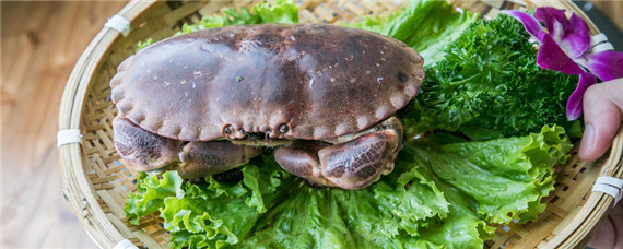 梭子蟹里面黑黑的是怎么回事（梭子蟹体内黑色的是什么）