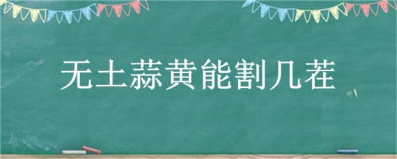 无土蒜黄能割几茬（种蒜黄能收割几次）