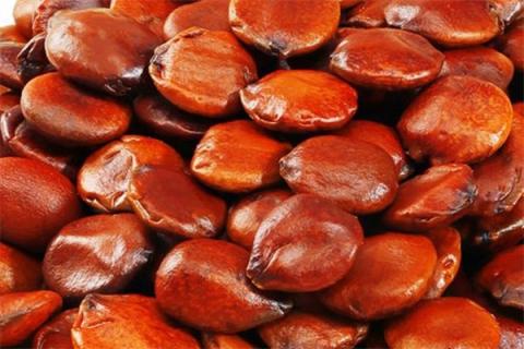 酸枣仁和绿豆的功效与作用 酸枣仁煲绿豆的功效