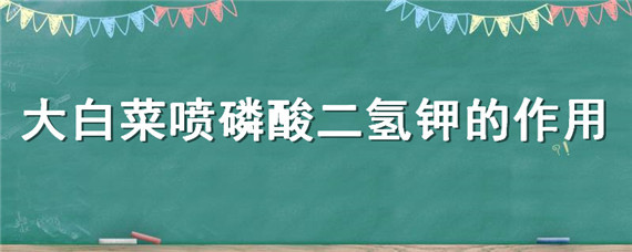 大白菜喷磷酸二氢钾的作用 磷酸二氢钾在大白菜上的使用方法