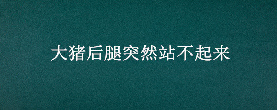 大猪后腿突然站不起来 大猪后腿突然站不起来喜欢睡在粪便里什么原因