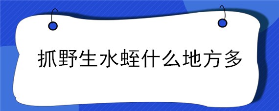 抓野生水蛭什么地方多 一天可以抓多少野生水蛭