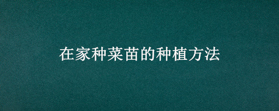 在家种菜苗的种植方法(怎样移栽菜苗)