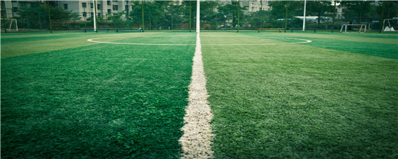 草坪里长黑色的霉（草坪里长黑色的霉是什么病）