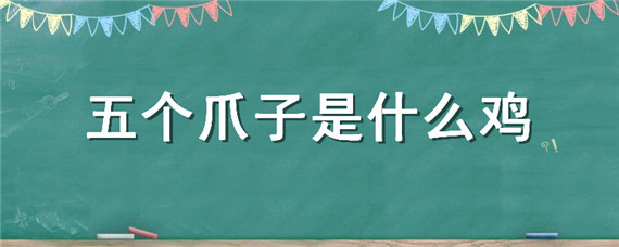 五个爪子是什么鸡 5个爪子是什么鸡